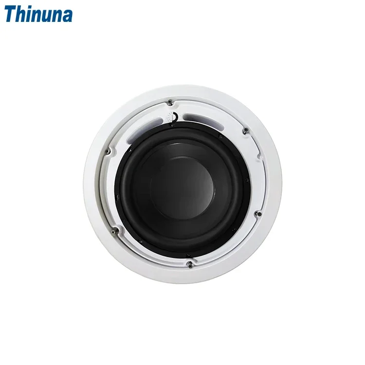 2025 Thinuna MS-10SUB-L II Hom - Audio Music Background ulasan dan harga
