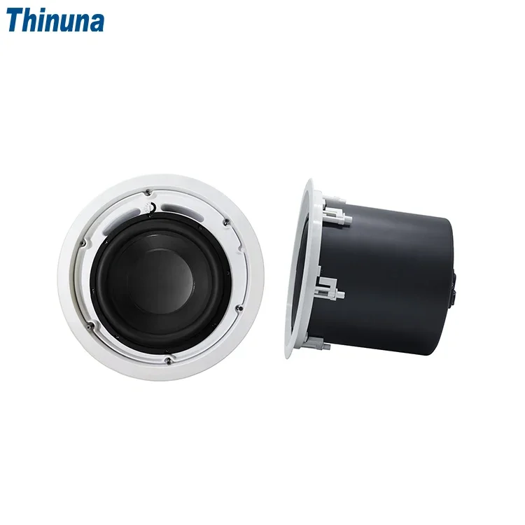 2025 Thinuna MS-10SUB-L II Hom - Audio Music Background ulasan dan harga