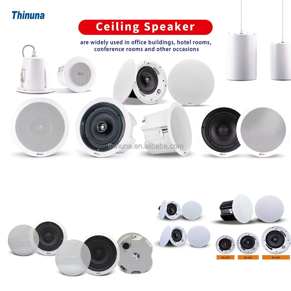 2025 Thinuna MS-10SUB-L II Hom - Audio Music Background ulasan dan harga