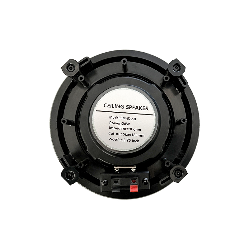 5.25 inch 8 ohm ceiling speake - Audio Music Background ulasan dan harga