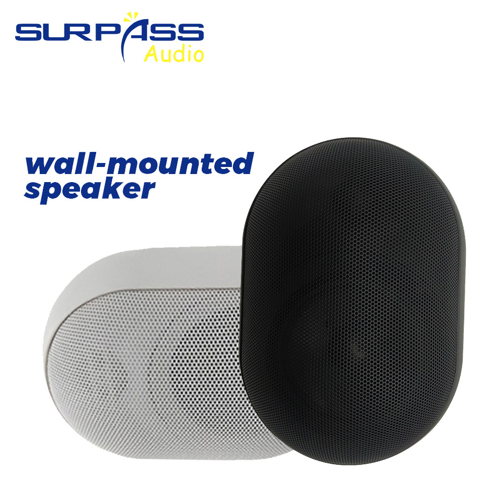 30W Wall-mounted Speaker Water - Audio Music Background ulasan dan harga