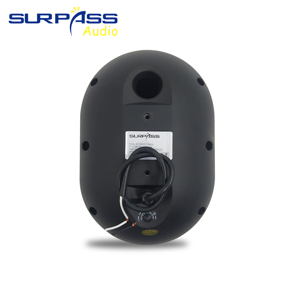 30W Wall-mounted Speaker Water - Audio Music Background ulasan dan harga